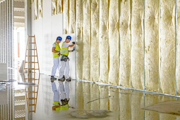 Best Residential Insulation in Mazomanie, WI